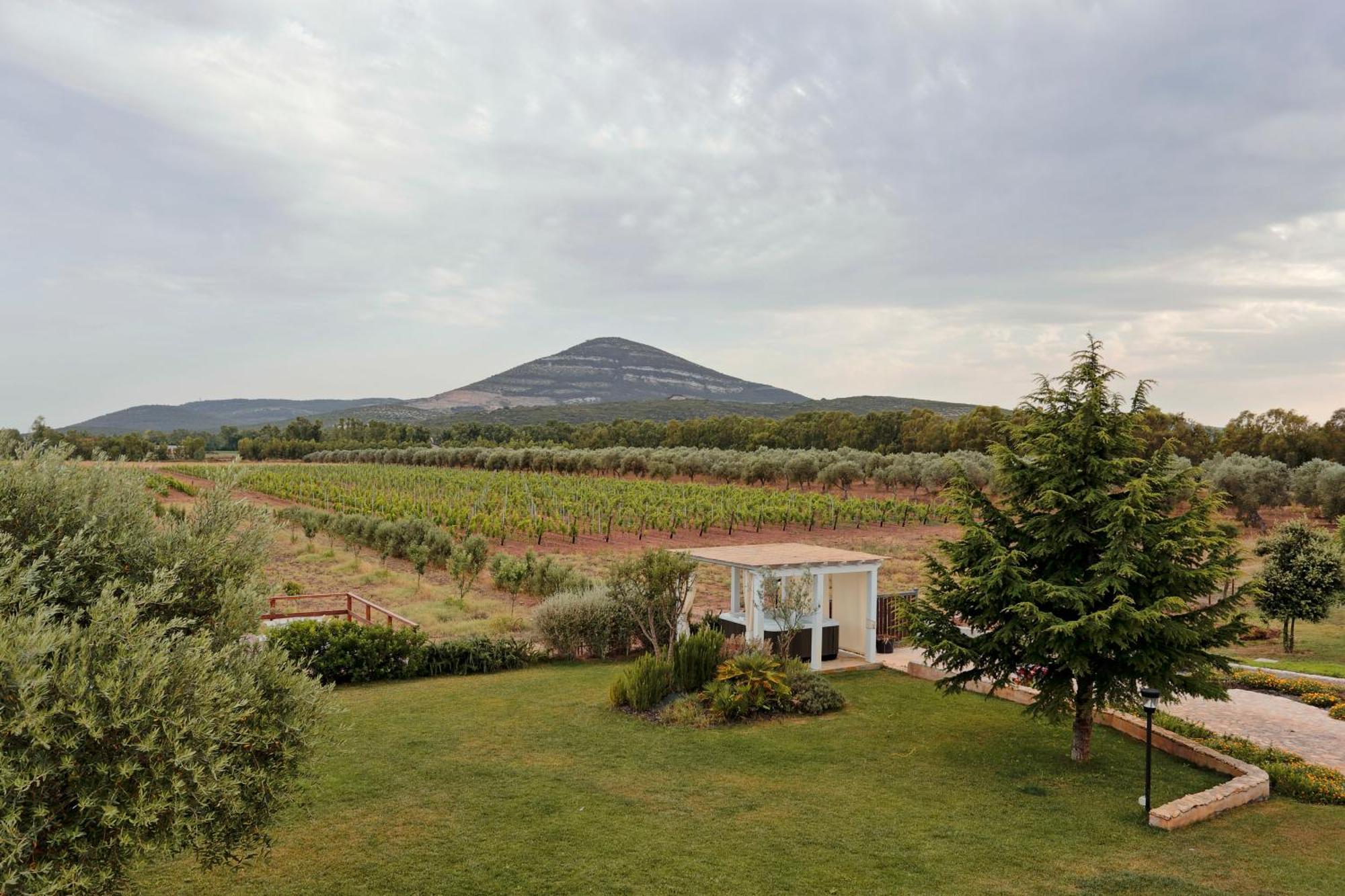 Agriturismo Casale Degli Ulivi Alghero 산타마리아라팔마 외부 사진